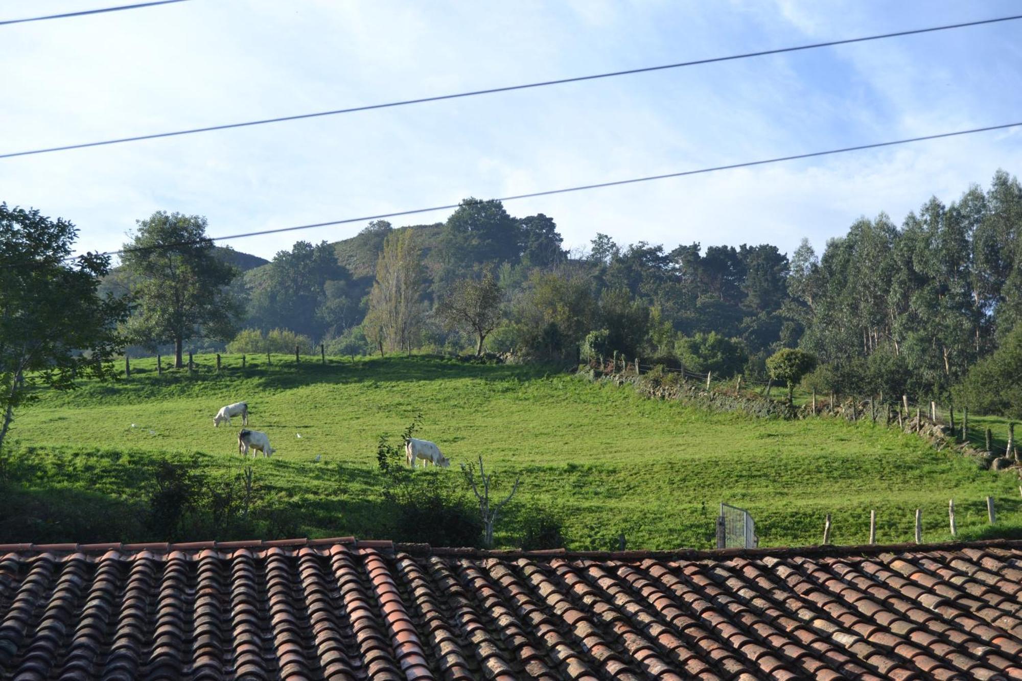 Corrales De Buelna Casa Canal De Las Tejeras מראה חיצוני תמונה